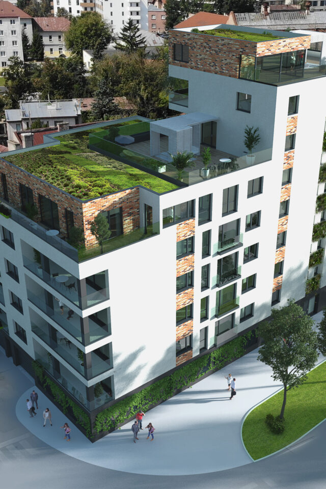 439_Rast_0003_B-1 (1)